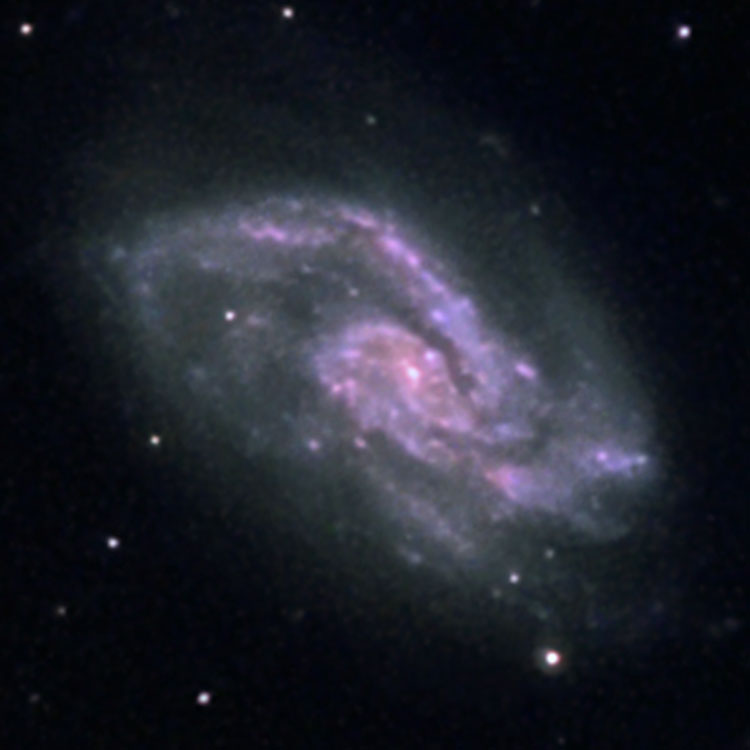 Clicca per ingrandire image